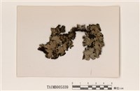 藏品(網梅衣)的圖片